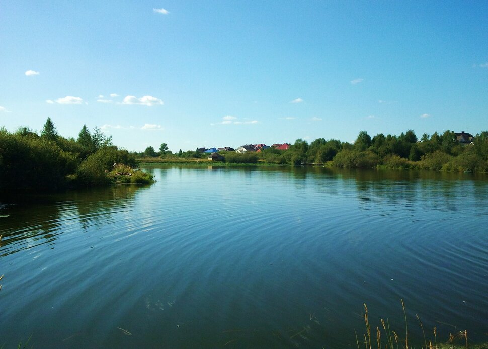 У реки