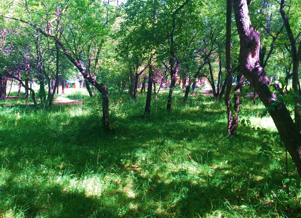 Уралмашевский парк в августе