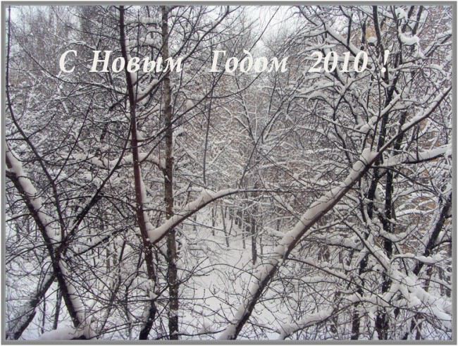 C Новым Годом 2010!