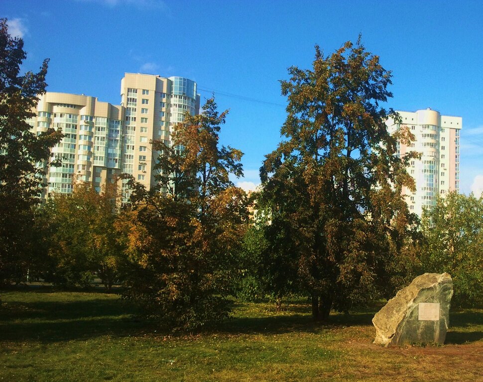 Сентябрь