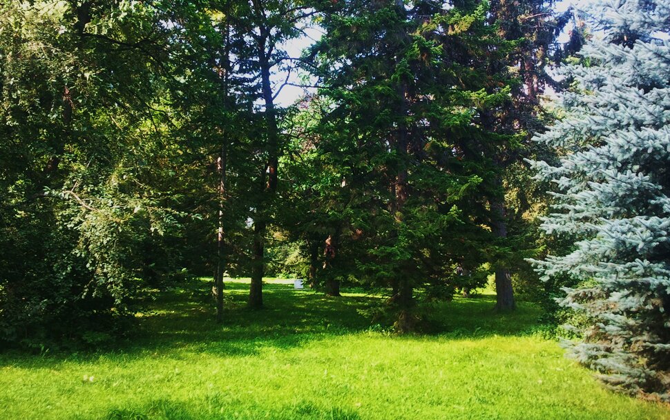 В лесочке