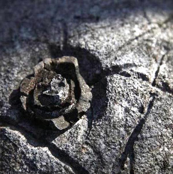 Каменный цветок