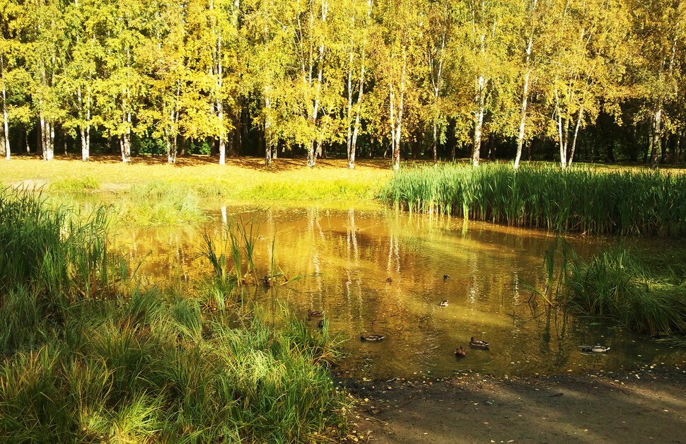 Осенью у озерца