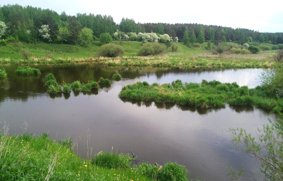 В мае у реки