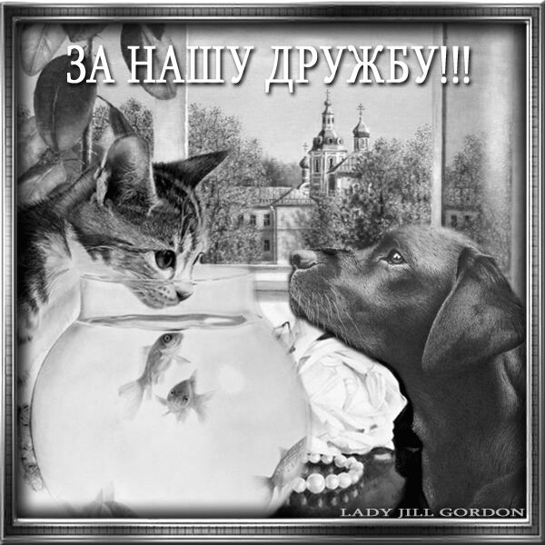 Ценю нашу дружбу картинка