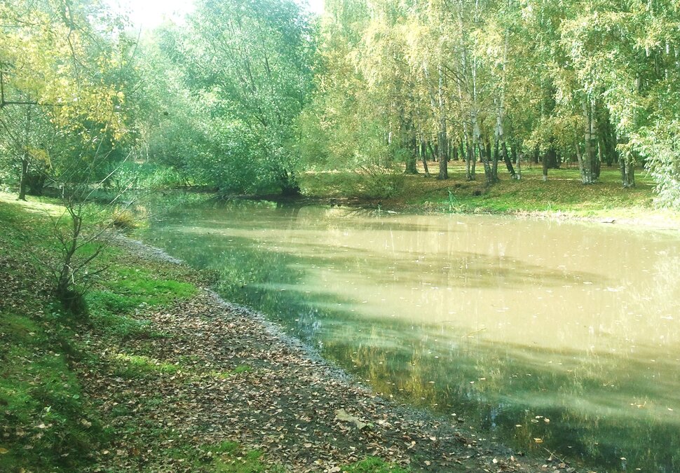 У болотца