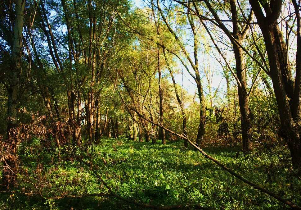 В уютном месте