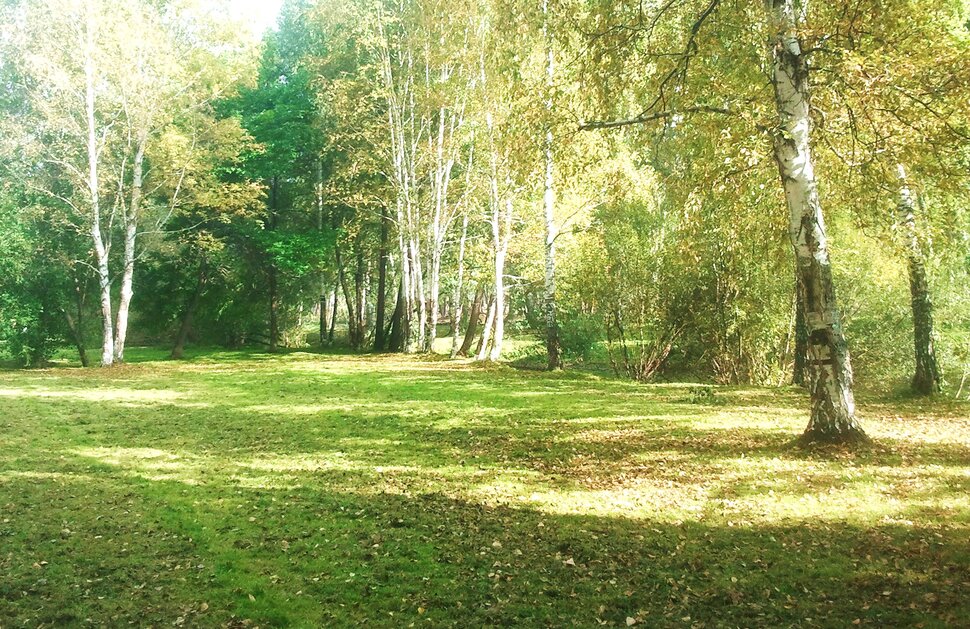 Сентябрь