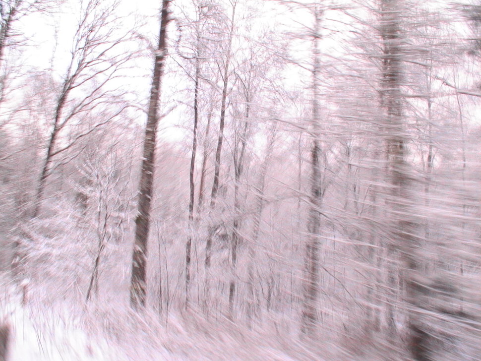 Зимний лес-скорость
