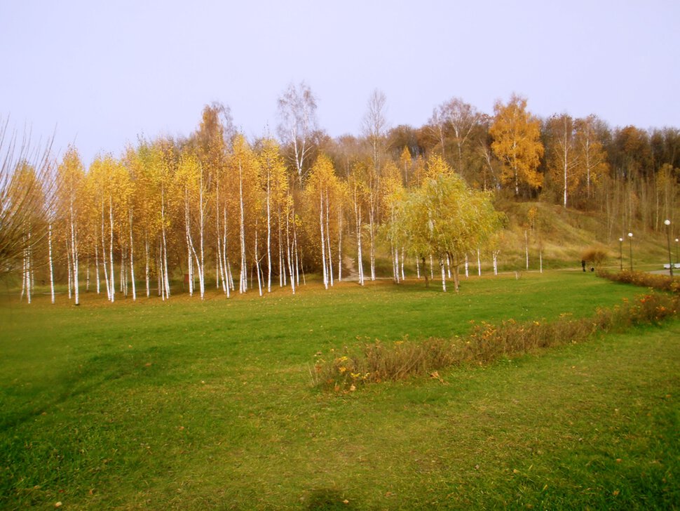 Золотая парча