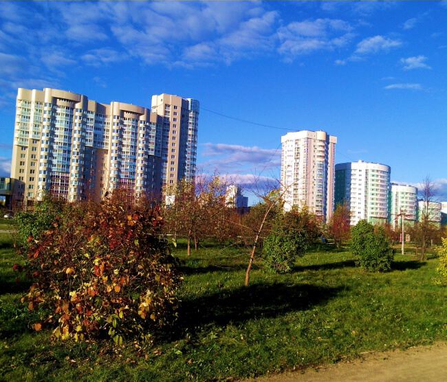 В городском парке