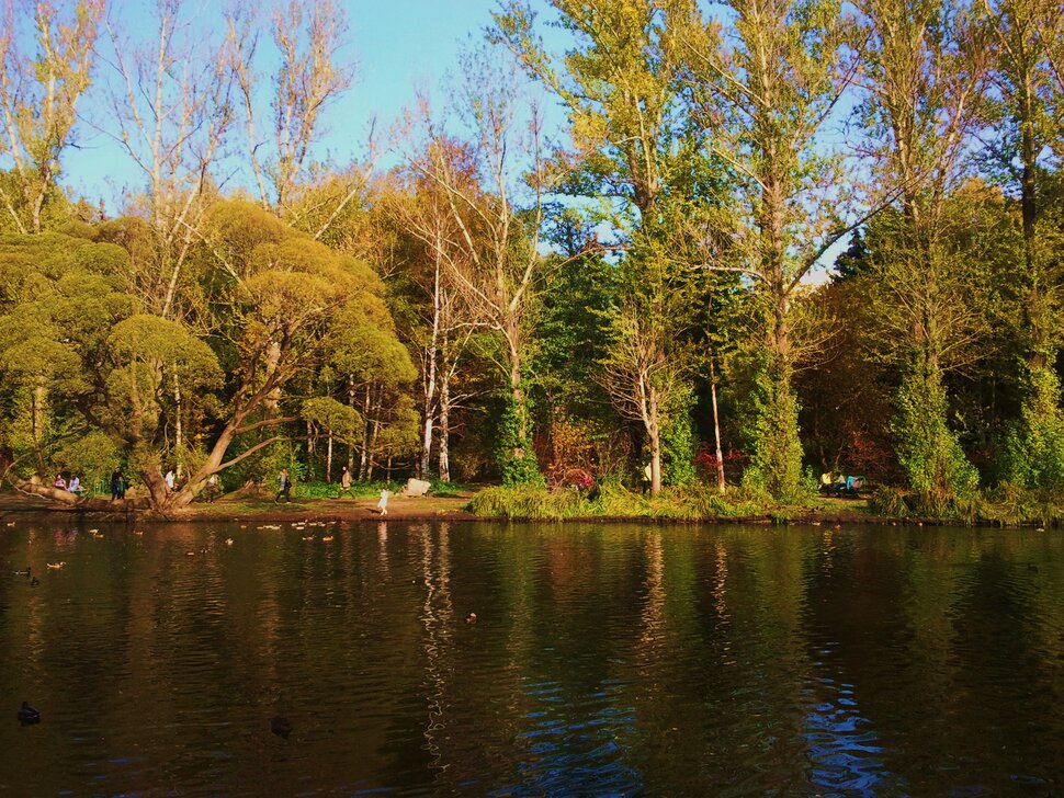 Осень, вода и лес