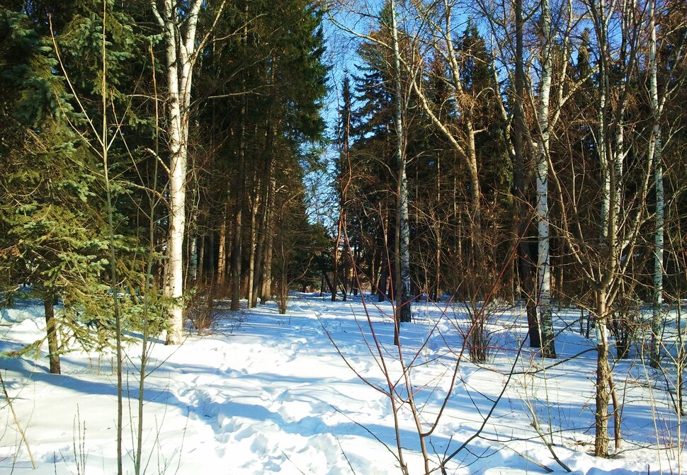 Февраль