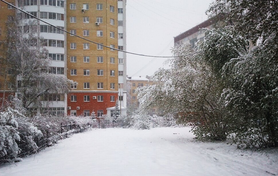 Майский дворик