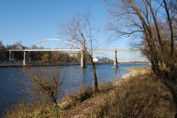 Мост через Сож