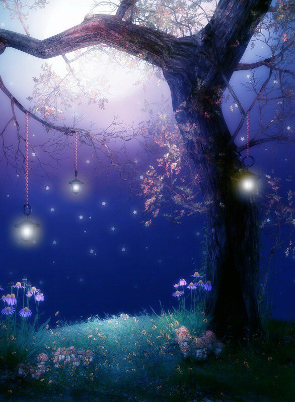ночь дерево фонарь