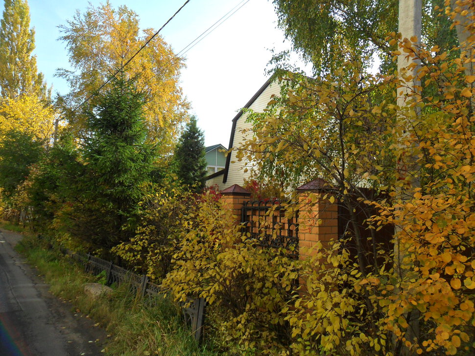 Солнцеликая осень в Чехове-III
