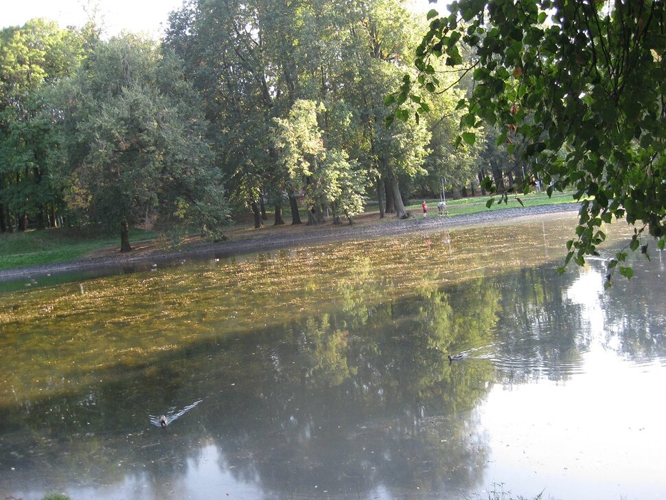 Головино. Сентябрь