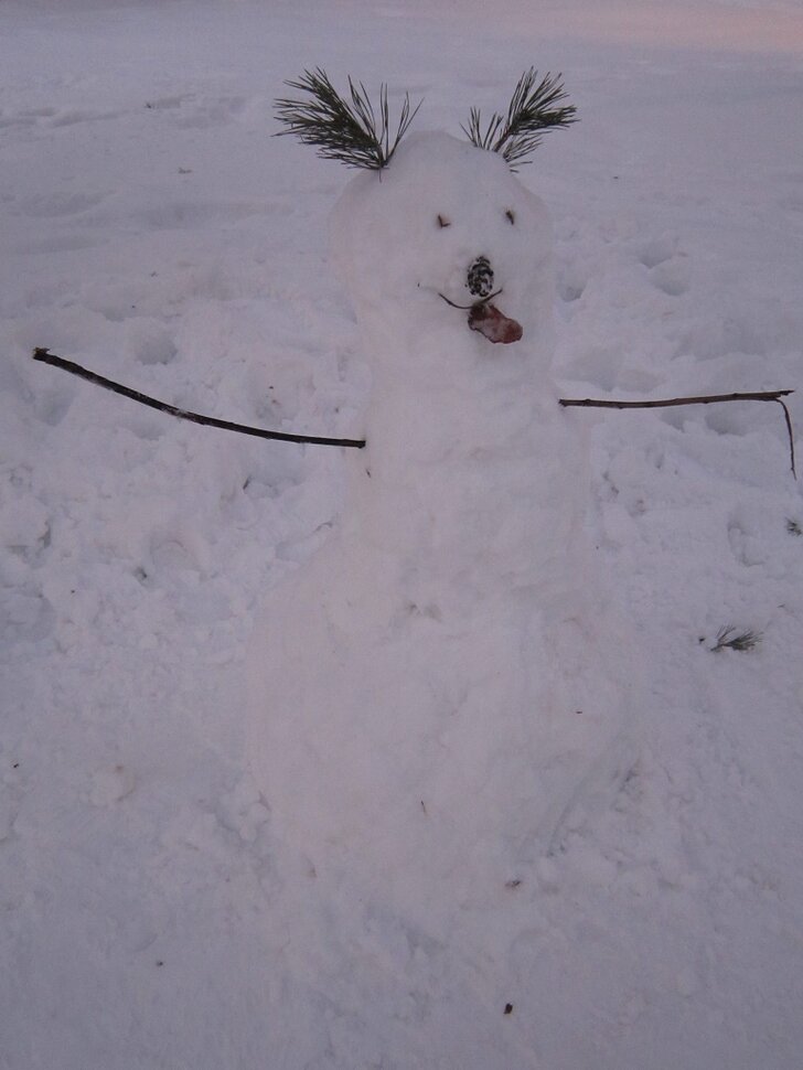 Необычный снеговик