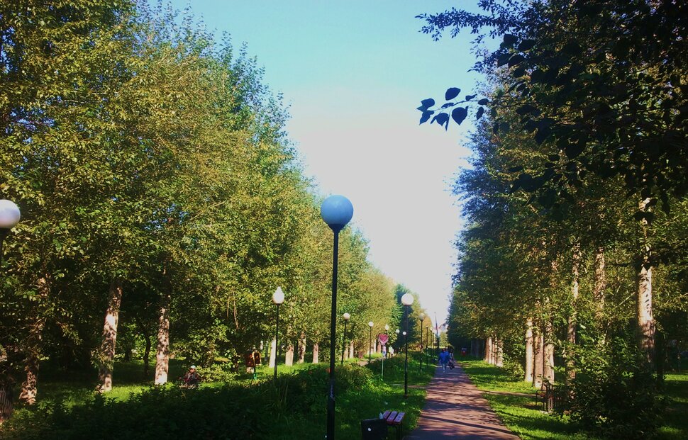 По аллее