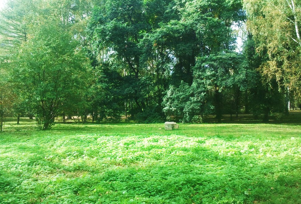 По лесочку
