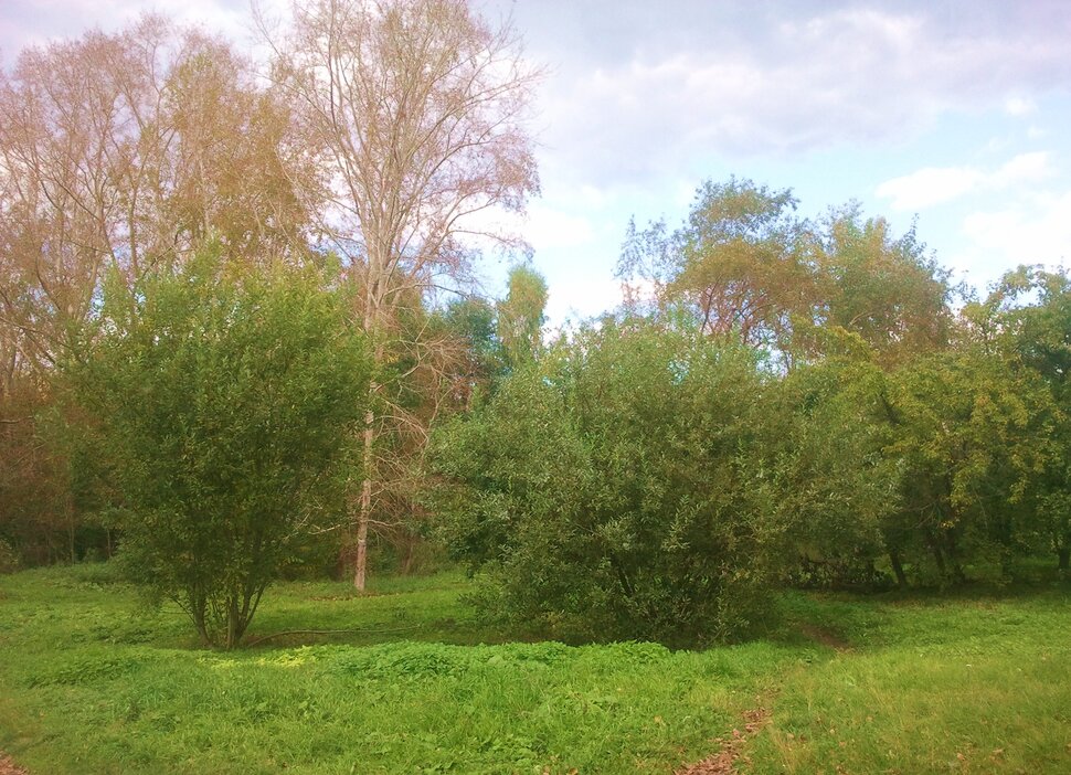 Сентябрь