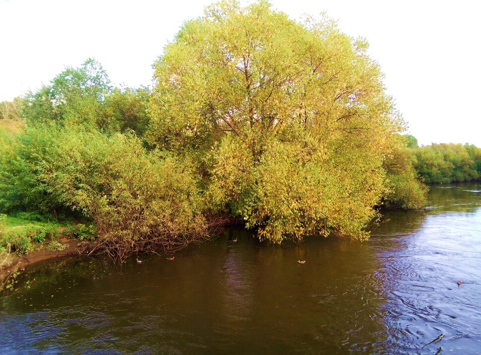 У воды