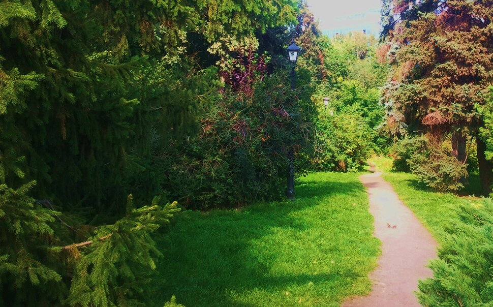 По осенней дорожке