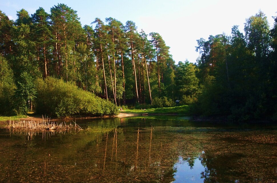 У озерца