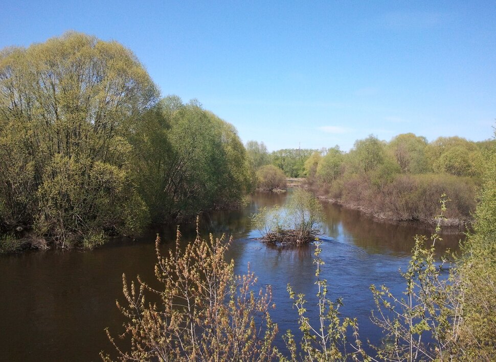 У реки