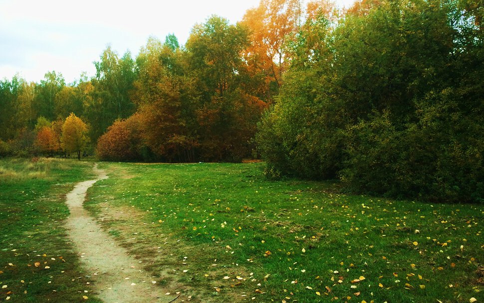 По осени