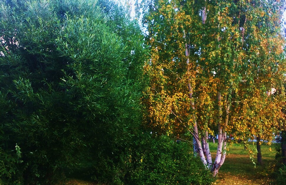 Сентябрь