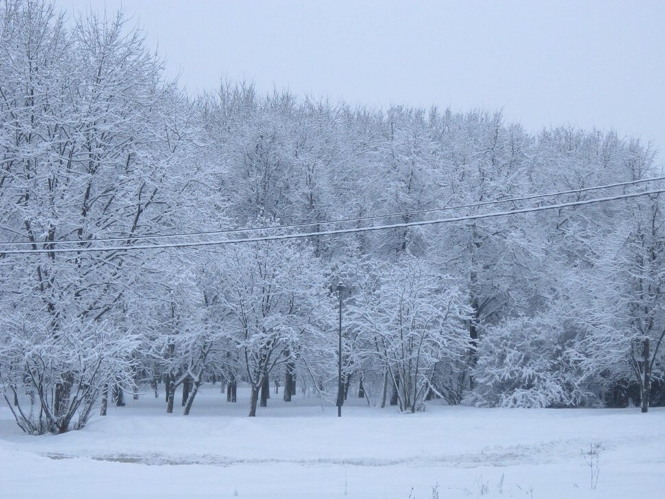 Зимняя красота