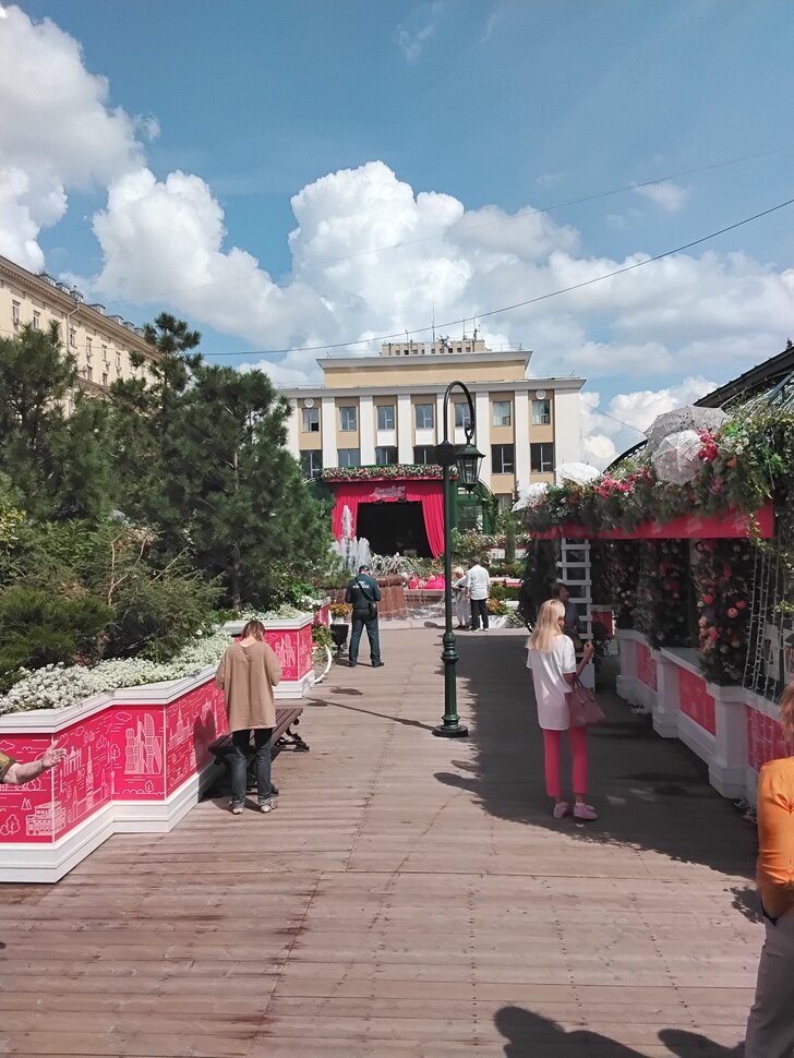 На фестивале Московское чаепитие