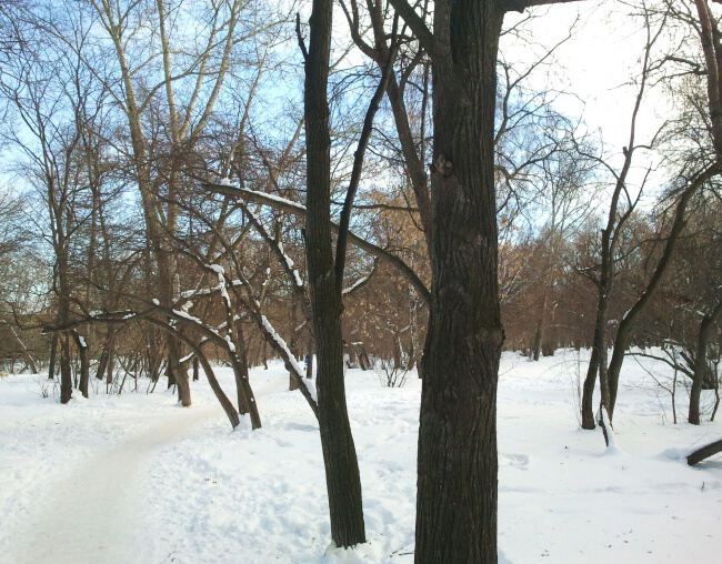 На природе