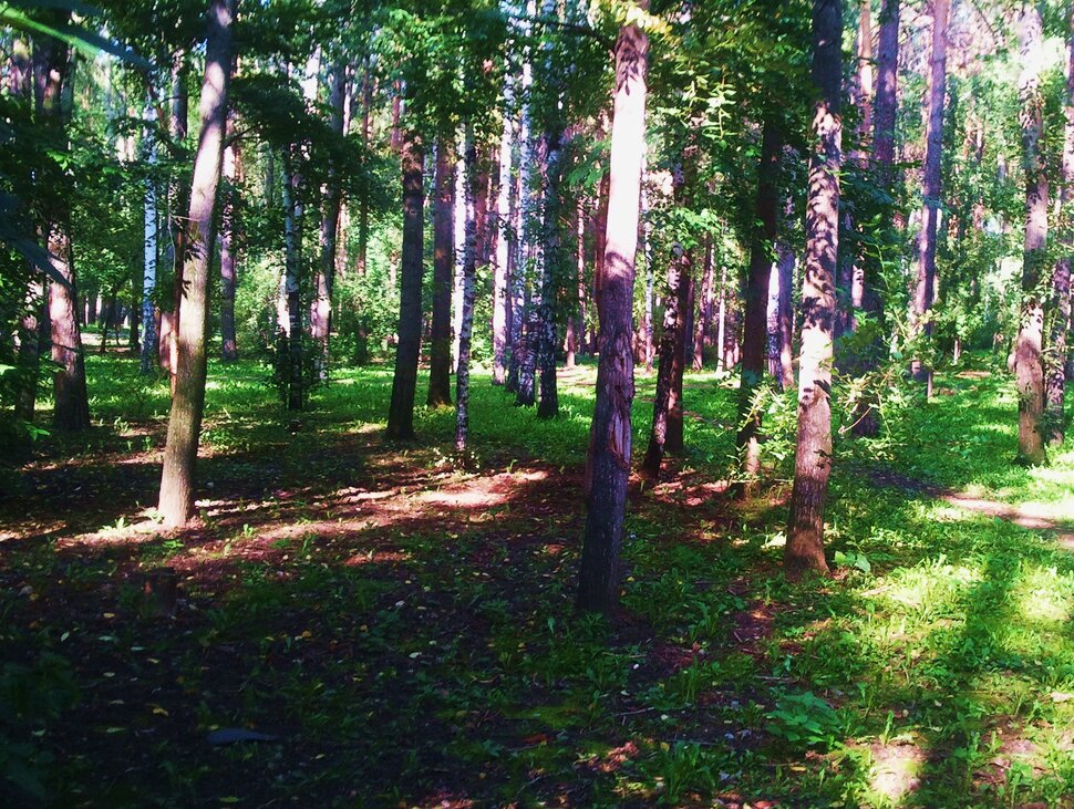 По лесочку