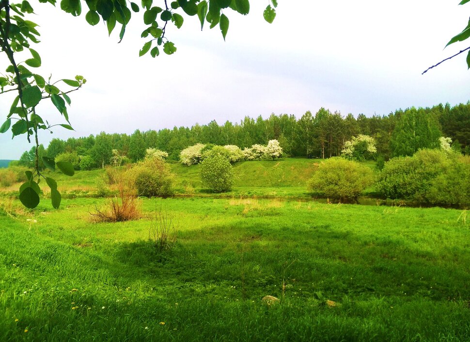 По майским просторам