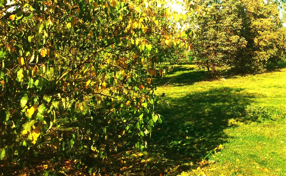 Сентябрь