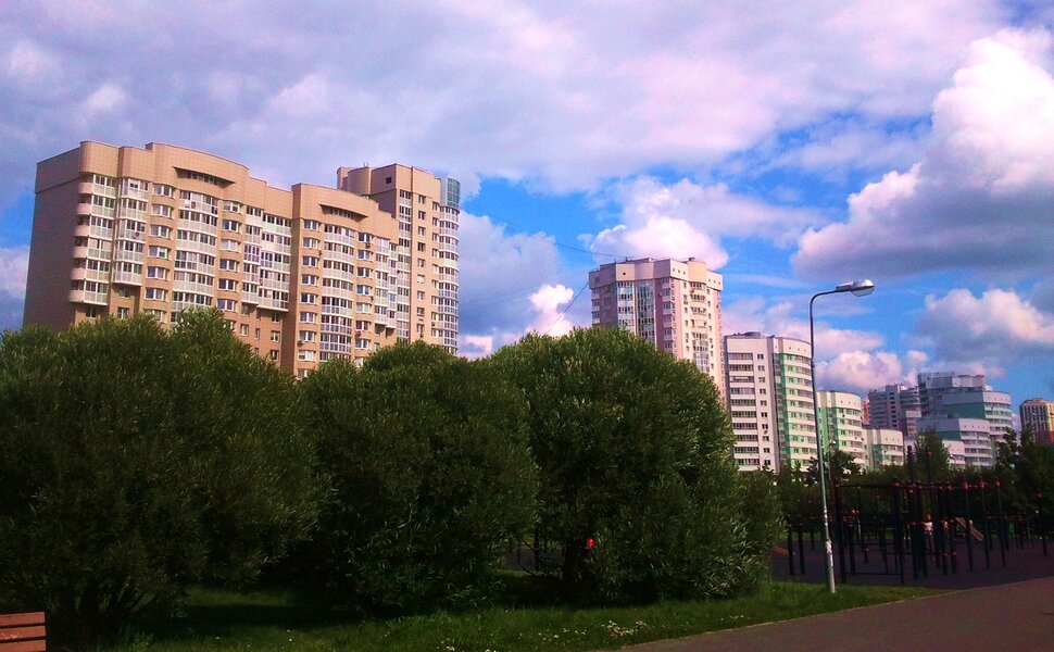 В парке летом