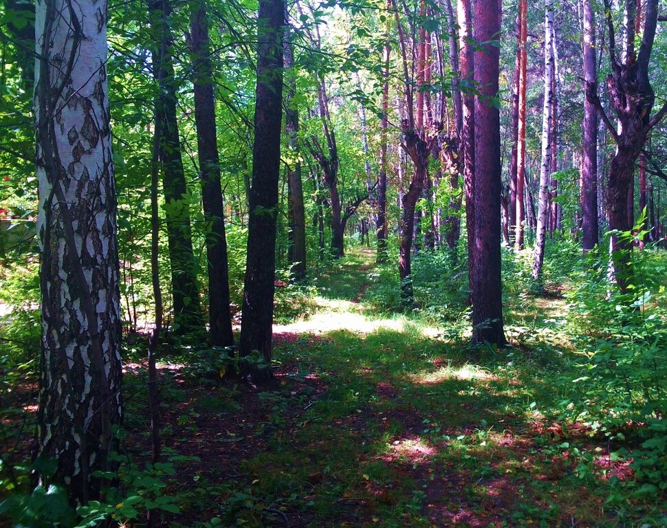 В уралмашевском парке