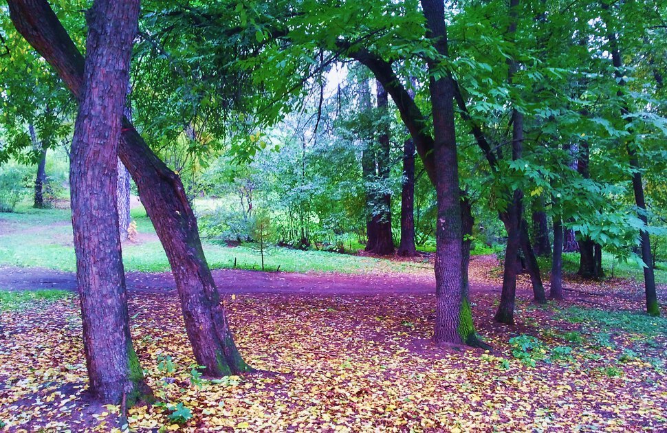 В Харитоновском парке