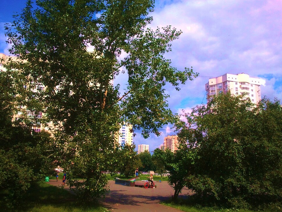 В парке летом