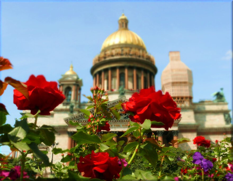 Исаакий в цвету