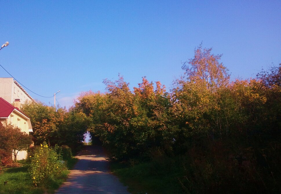 По осенней улочке
