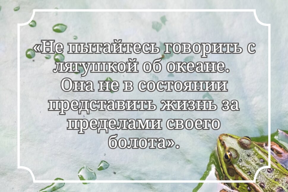 Цитата про лягушку и океан