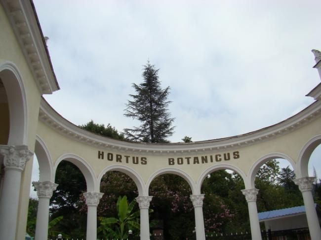 hortus botanicus