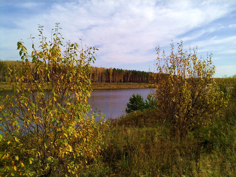 Озеро в осеннем лесу