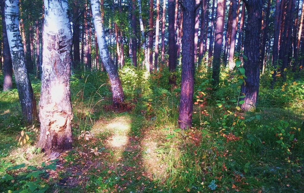 Сентябрь