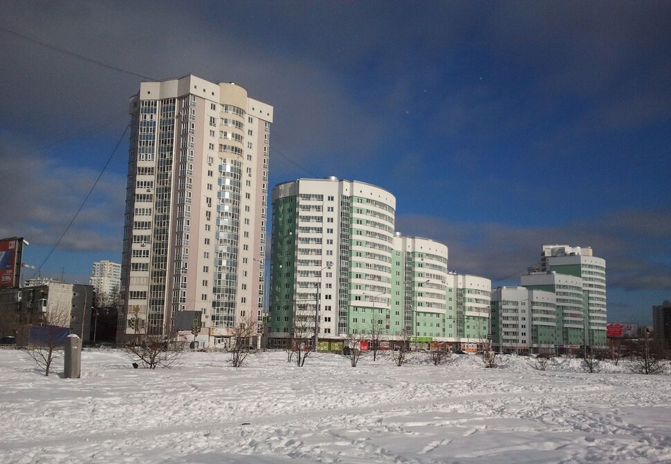 Зимой в парке