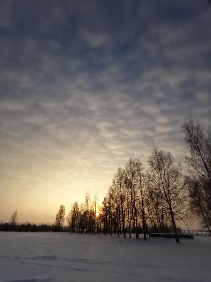 Зимний пейзаж